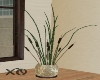 Lake Plant