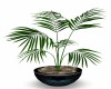 Large Potted Deco Plant