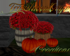 (T)Pumpkins and Mums