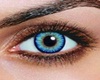 *ENYO* Blue Eyes (M)