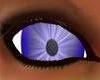 Male Blu Starburst Eyes
