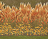 SM@Autumn Fall,Plant DEC