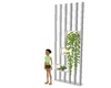 CK Wall Decor 10