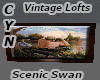 Vin Loft's  Scenic Swan