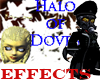 Halo of Doves