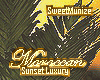 Moroccan_Sunset_Palm