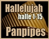Hallelujah - Panpipes