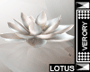 [V] White Lotus