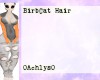 BirbCat Hair