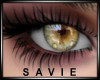 SAV Celebrity Eyes