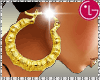 gold big hoty  earrings
