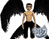 Raven Splendor 4-Wings