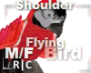 R|C Bird Red M/F