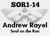 Andrew Rayel Soul on run