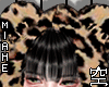 空 Bear Scarf 空