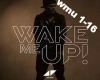 Avicii: Wake Me Up