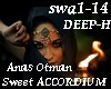 Sweet Accordium- DEEP H