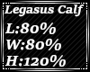 Legasus Calf Scale 80%