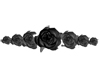 group of roses in black