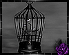 Black birdcage