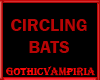 GV Circling Black Bats