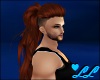 ♥LL Elliot drk. auburn