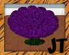 JT Purple flower chair