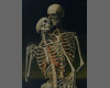Skeleton Love Pic