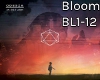 Bloom Odesza