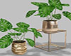 Glam Plants and Stand