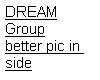 Dream group