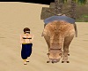 Egyptian Camel V1