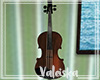 *VK*Violin V #1