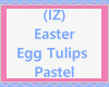 (IZ) Easter Egg Tulips