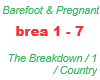 Barefoot /The Breakdown