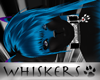 Whiskers :Astra Hair MV2