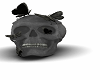 Skull Head with moths