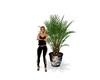 Romatic potted plant