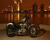 Harley Bike 5