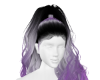 taylor purple