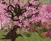 Spring Tree