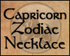 Capricorn Zodiac Necklac