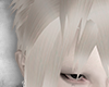 XIN