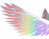 pastel rainbow wings
