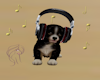 Dog Radio