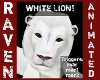 WHITE LION!