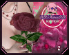 [💀]Pink Hold Rose