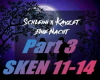 Schleini Eine Nacht P3