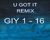 you got it remix