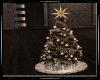 ~True Christmas Tree